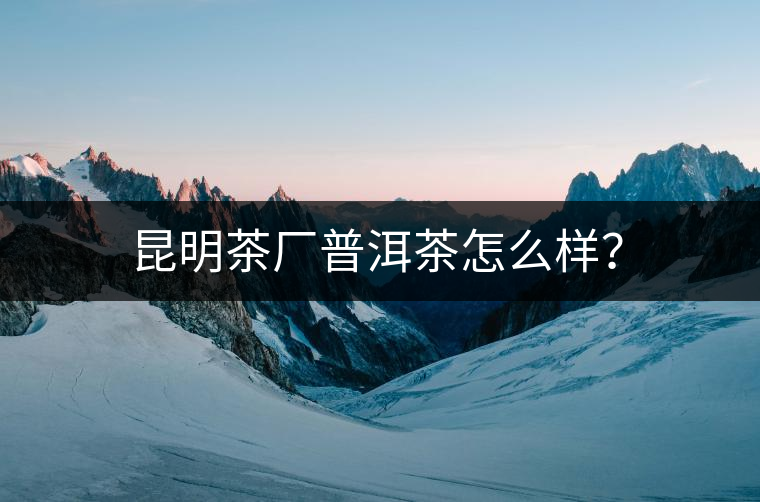 昆明茶廠普洱茶怎么樣？