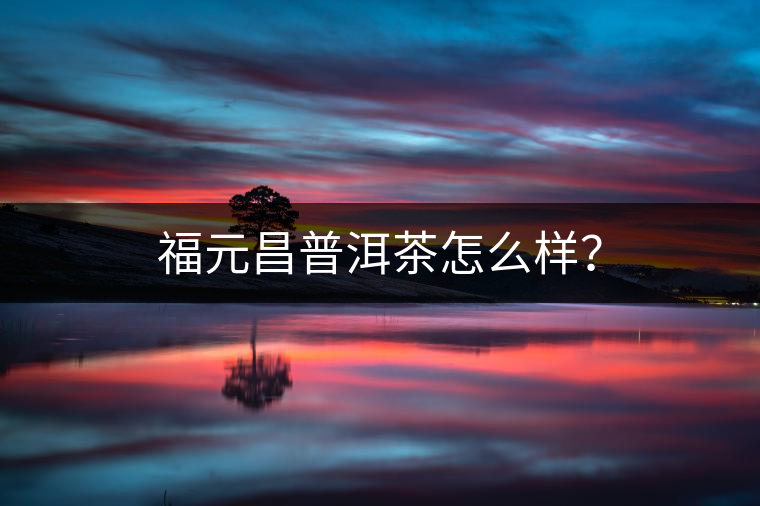 福元昌普洱茶怎么樣？