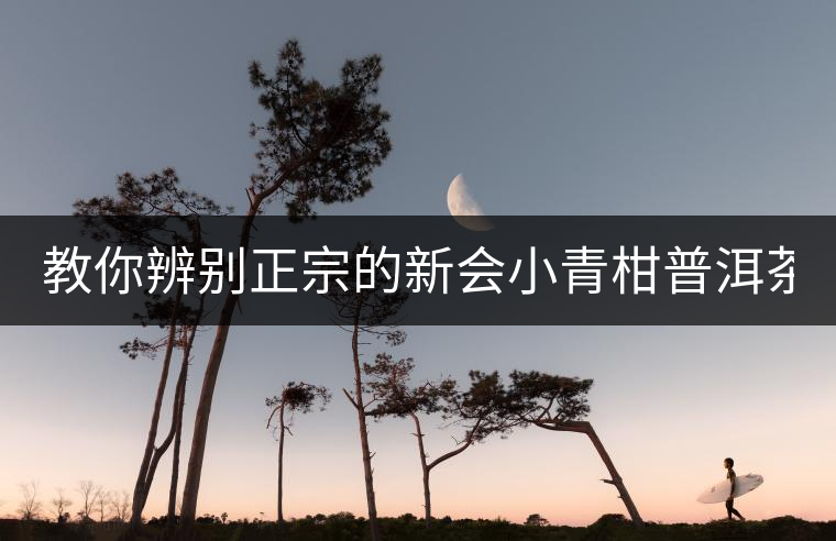 教你辨別正宗的新會小青柑普洱茶?