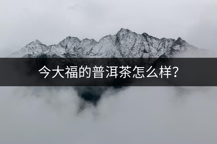 今大福的普洱茶怎么樣？