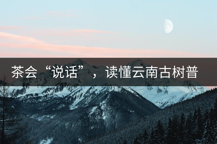 茶會“說話”，讀懂云南古樹普洱茶的秘訣