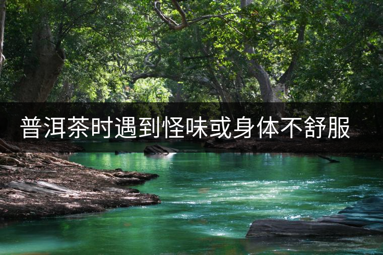 普洱茶時遇到怪味或身體不舒服時，怎么破？