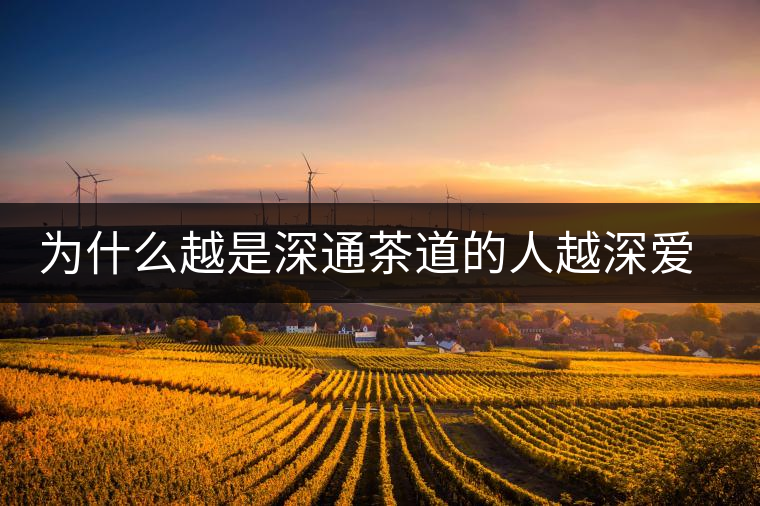 為什么越是深通茶道的人越深愛普洱茶？喜歡普洱茶，有三個原因。