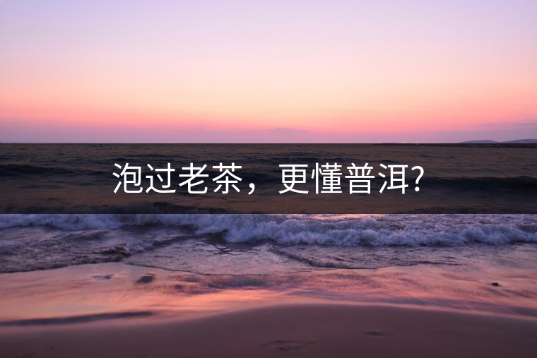 泡過老茶，更懂普洱?