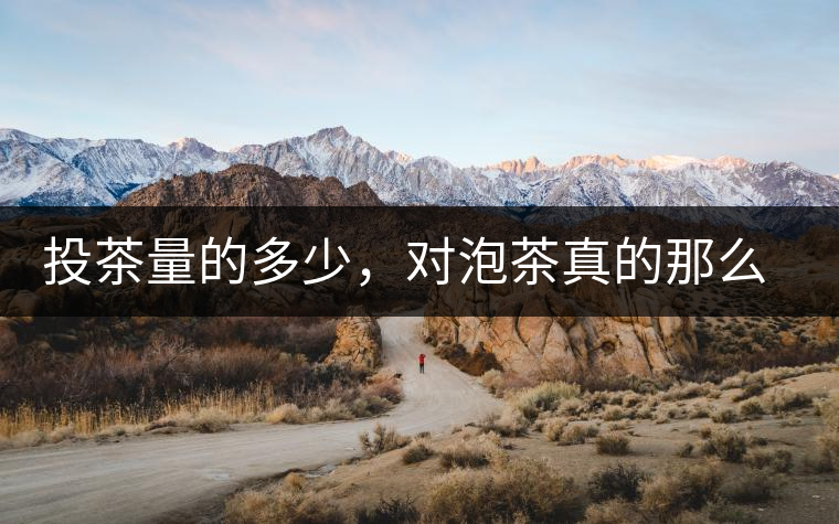 投茶量的多少，對泡茶真的那么重要嗎？