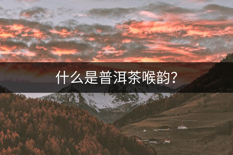 什么是普洱茶喉韻？