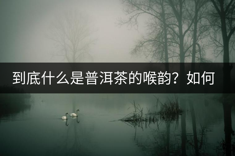 到底什么是普洱茶的喉韻？如何感受？