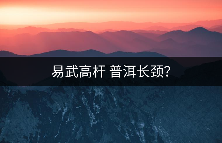易武高桿 普洱長頸？