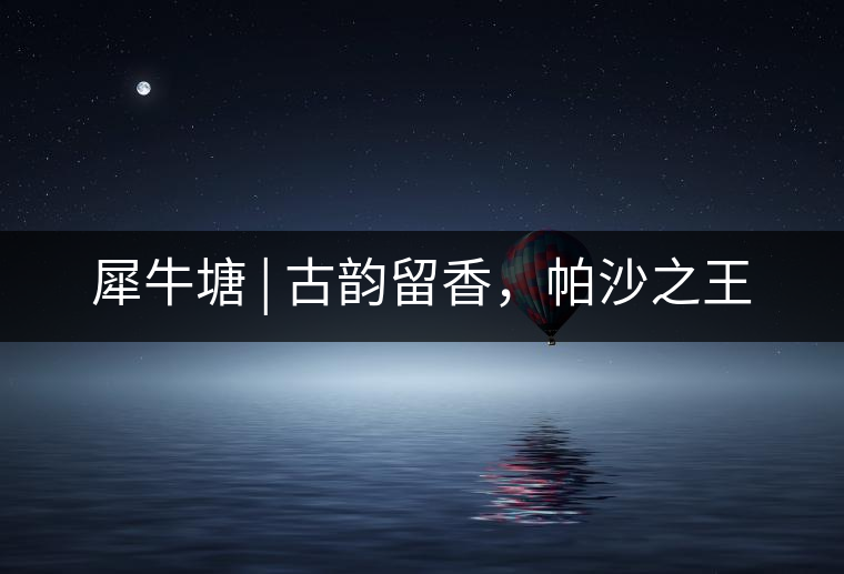 犀牛塘 | 古韻留香，帕沙之王