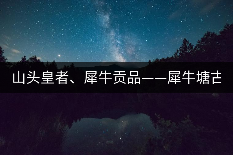 山頭皇者、犀牛貢品——犀牛塘古樹茶！