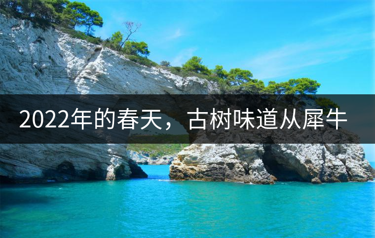 2022年的春天，古樹味道從犀牛塘開始！