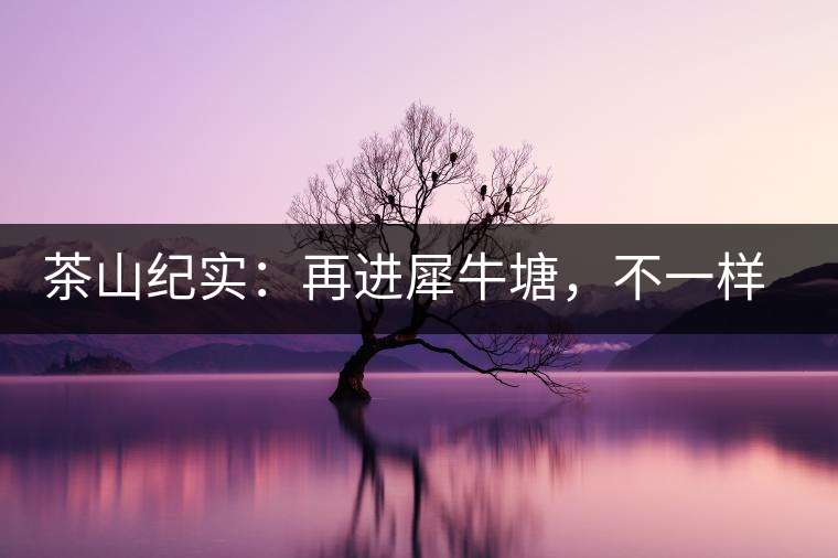 茶山紀實：再進犀牛塘，不一樣的感覺；菁瑤可以預見的豐收年