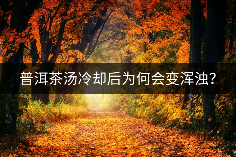 普洱茶湯冷卻后為何會變渾濁？