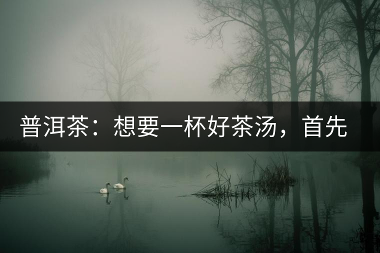 普洱茶：想要一杯好茶湯，首先要會醒茶