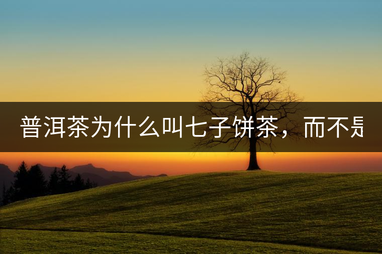 普洱茶為什么叫七子餅茶，而不是六子餅、八子餅......？