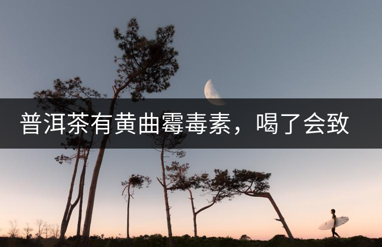 普洱茶有黃曲霉毒素，喝了會致癌？不黑不吹，咱用事實(shí)說話