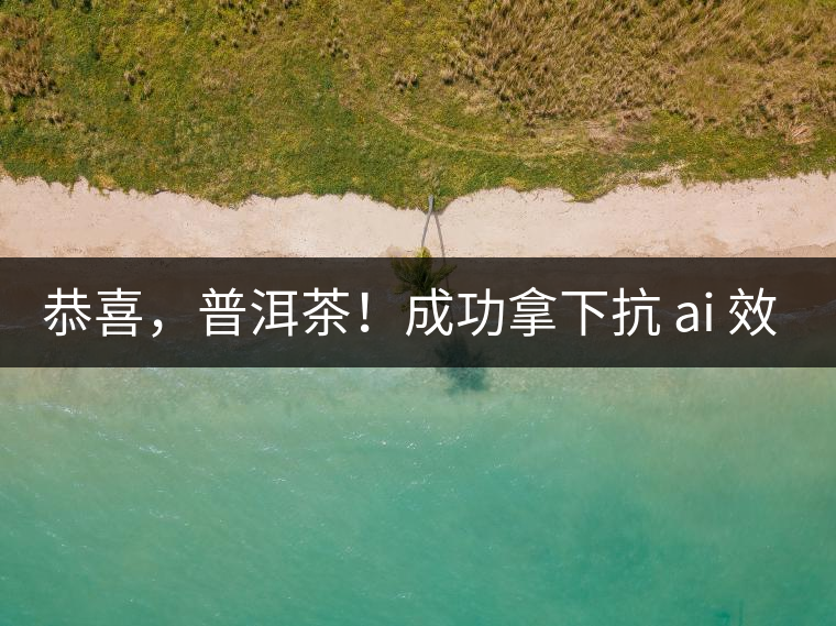 恭喜，普洱茶！成功拿下抗 ai 效果第二名！