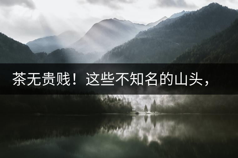 茶無(wú)貴賤！這些不知名的山頭，其實(shí)也產(chǎn)優(yōu)質(zhì)普洱茶！