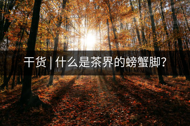 干貨 | 什么是茶界的螃蟹腳？