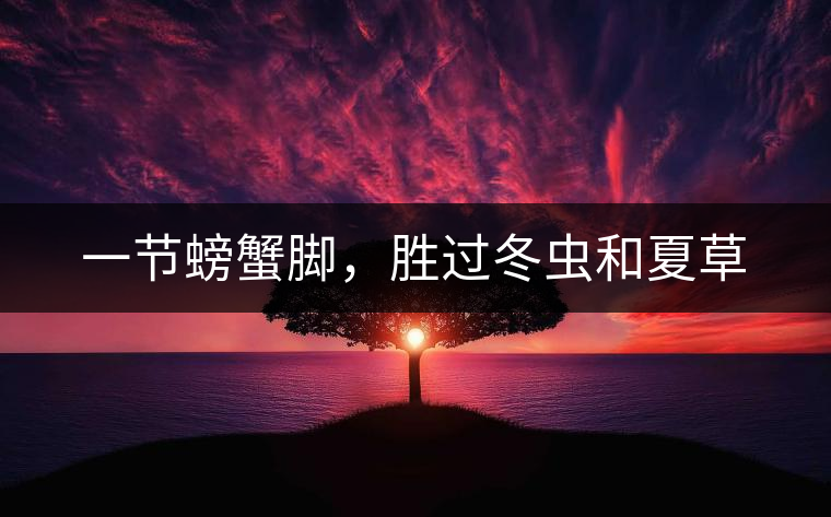 一節(jié)螃蟹腳，勝過(guò)冬蟲和夏草
