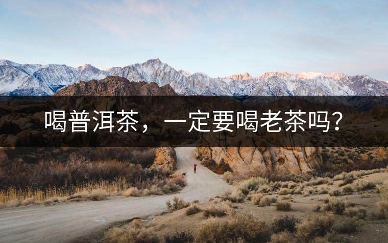 喝普洱茶，一定要喝老茶嗎？
