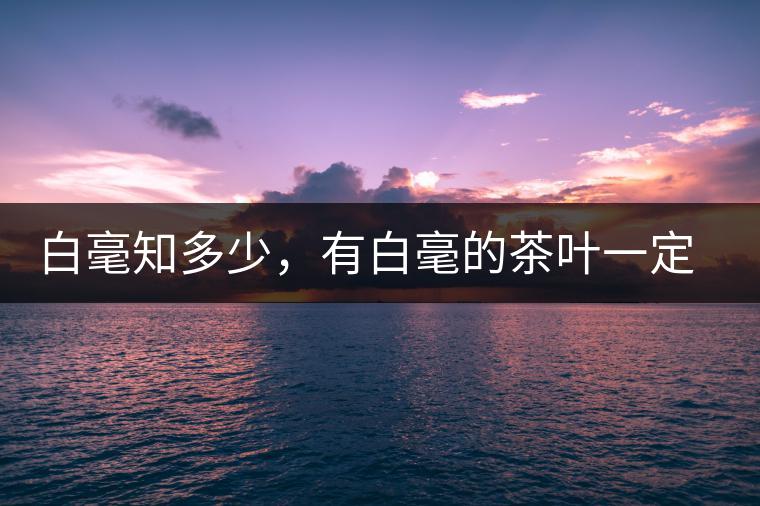 白毫知多少，有白毫的茶葉一定好嗎？