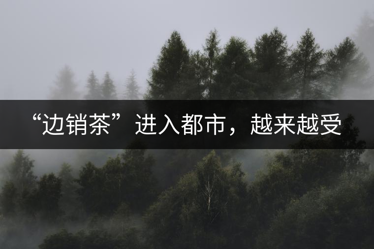 “邊銷茶”進(jìn)入都市，越來越受人們青睞