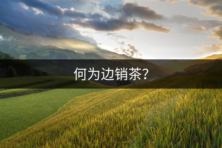 何為邊銷茶？