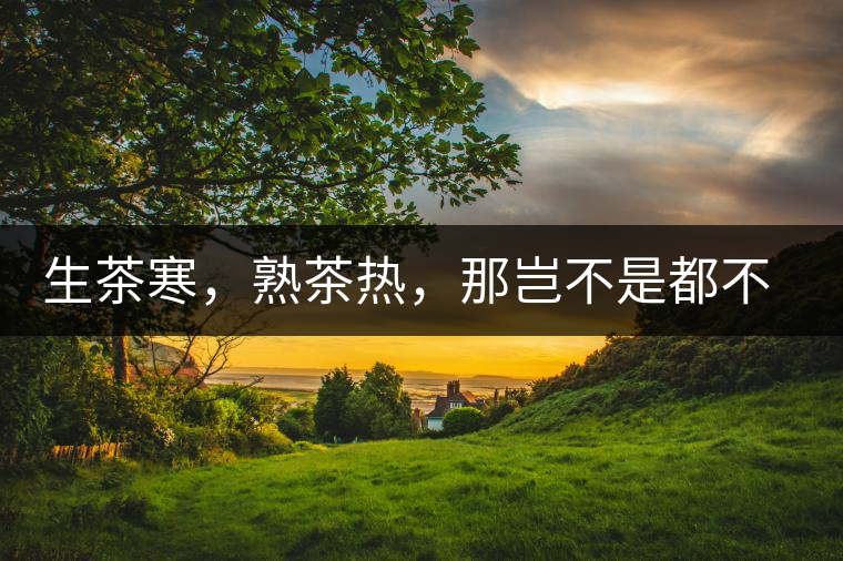 生茶寒，熟茶熱，那豈不是都不能喝了？丨實用