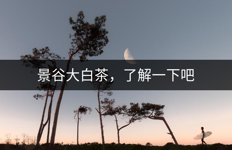 景谷大白茶，了解一下吧
