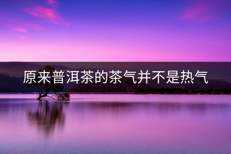 原來(lái)普洱茶的茶氣并不是熱氣