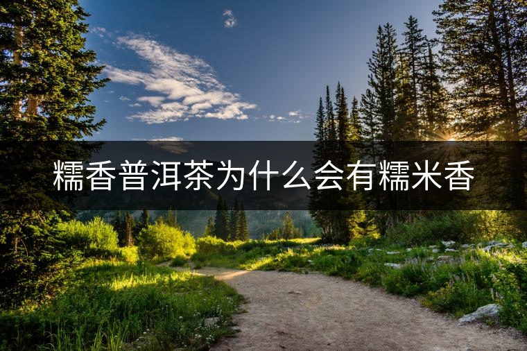 糯香普洱茶為什么會有糯米香