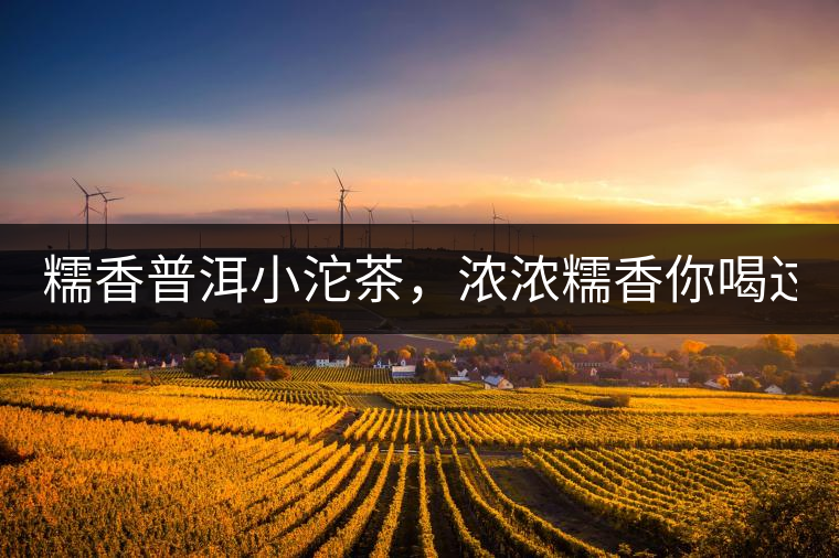 糯香普洱小沱茶，濃濃糯香你喝過嗎？