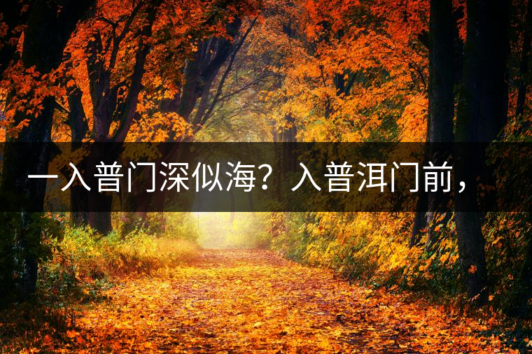 一入普門深似海？入普洱門前，你需要了解這些