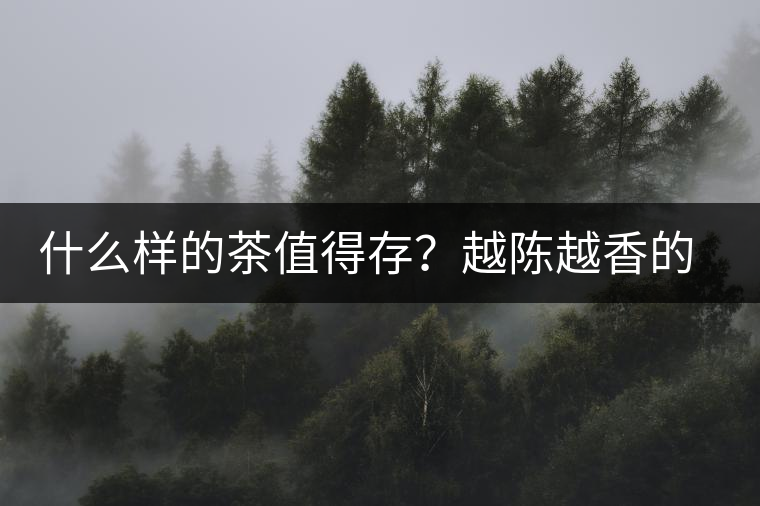 什么樣的茶值得存？越陳越香的本質(zhì)是什么？