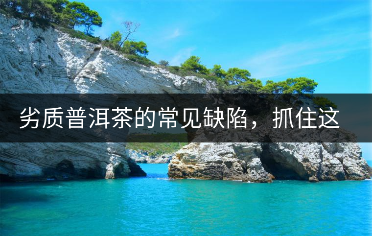 劣質(zhì)普洱茶的常見缺陷，抓住這三個(gè)特征，拒絕劣質(zhì)茶！