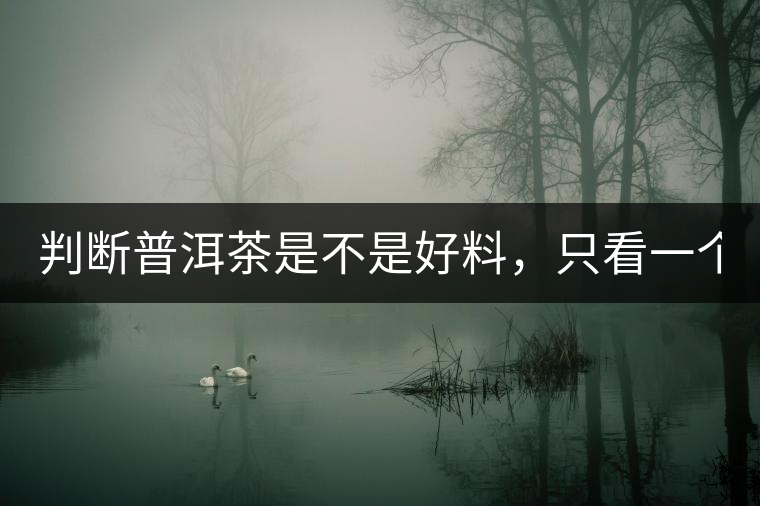 判斷普洱茶是不是好料，只看一個(gè)地方！