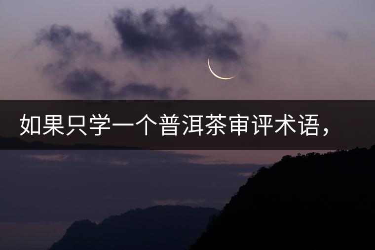 如果只學(xué)一個普洱茶審評術(shù)語，那應(yīng)該是什么？