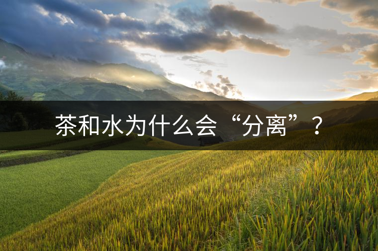 茶和水為什么會“分離”？