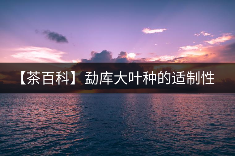 【茶百科】勐庫(kù)大葉種的適制性。 【茶百科】勐庫(kù)大葉種的適制性。