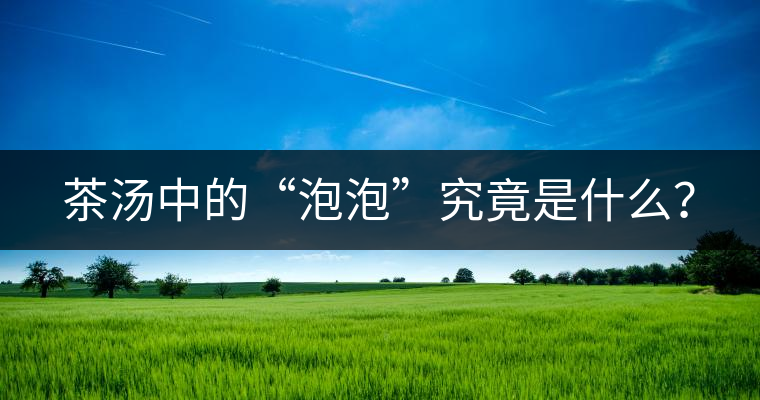 茶湯中的“泡泡”究竟是什么？