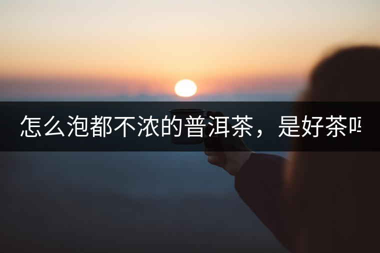 怎么泡都不濃的普洱茶，是好茶嗎？