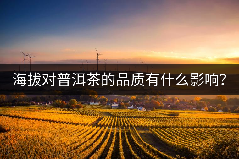 海拔對普洱茶的品質有什么影響？