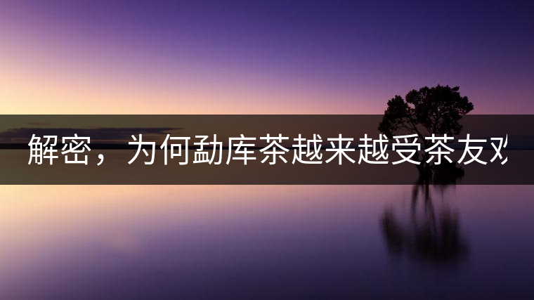 解密，為何勐庫茶越來越受茶友歡迎！