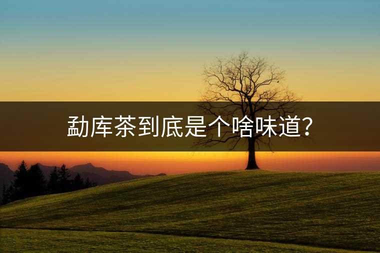勐庫茶到底是個(gè)啥味道？