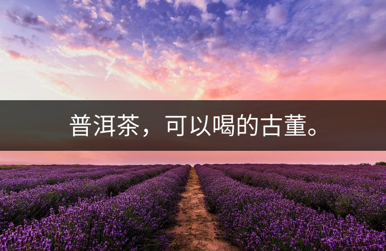 普洱茶，可以喝的古董。