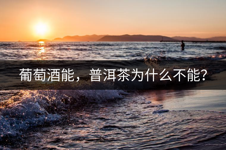 葡萄酒能，普洱茶為什么不能？