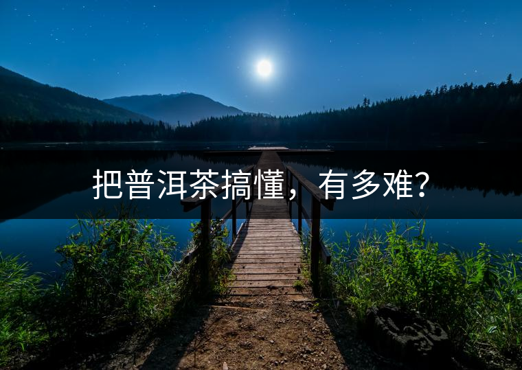 把普洱茶搞懂，有多難？