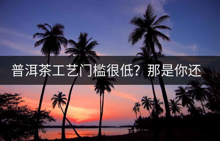 普洱茶工藝門檻很低？那是你還沒有參透工藝與自然之間的奧秘！