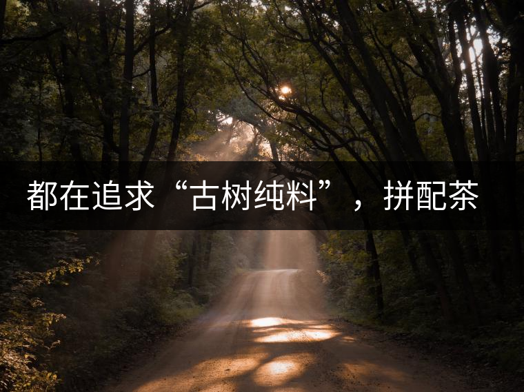 都在追求“古樹純料”，拼配茶真的不如純料的？